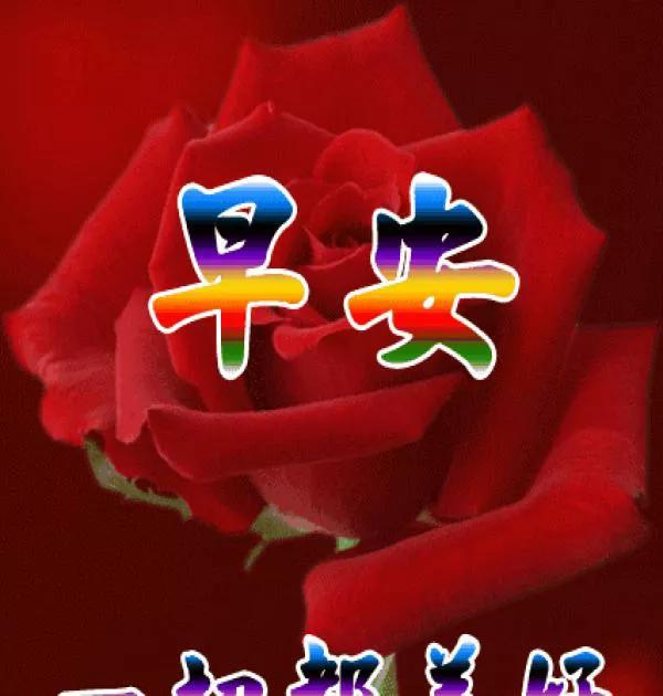 溫馨日常歡樂(lè)時(shí)光的最新動(dòng)態(tài)