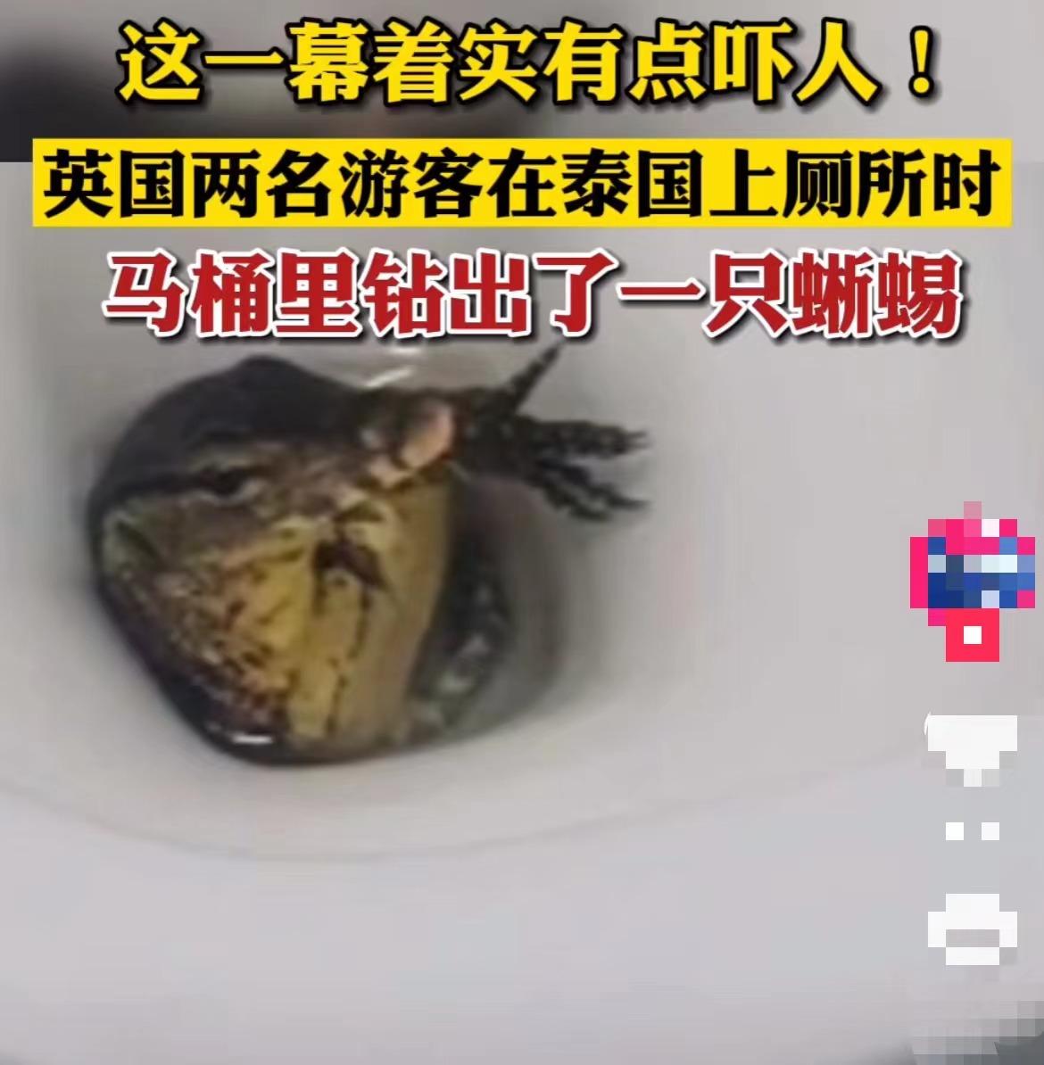 最新蛇咬事件，自然探險之旅遭遇意外危機