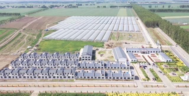 農(nóng)安縣前崗鄉(xiāng)最新資訊與溫馨日常