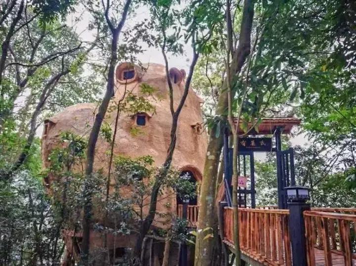 清遠房價最新動態(tài)及市場走勢分析與個人觀點概述