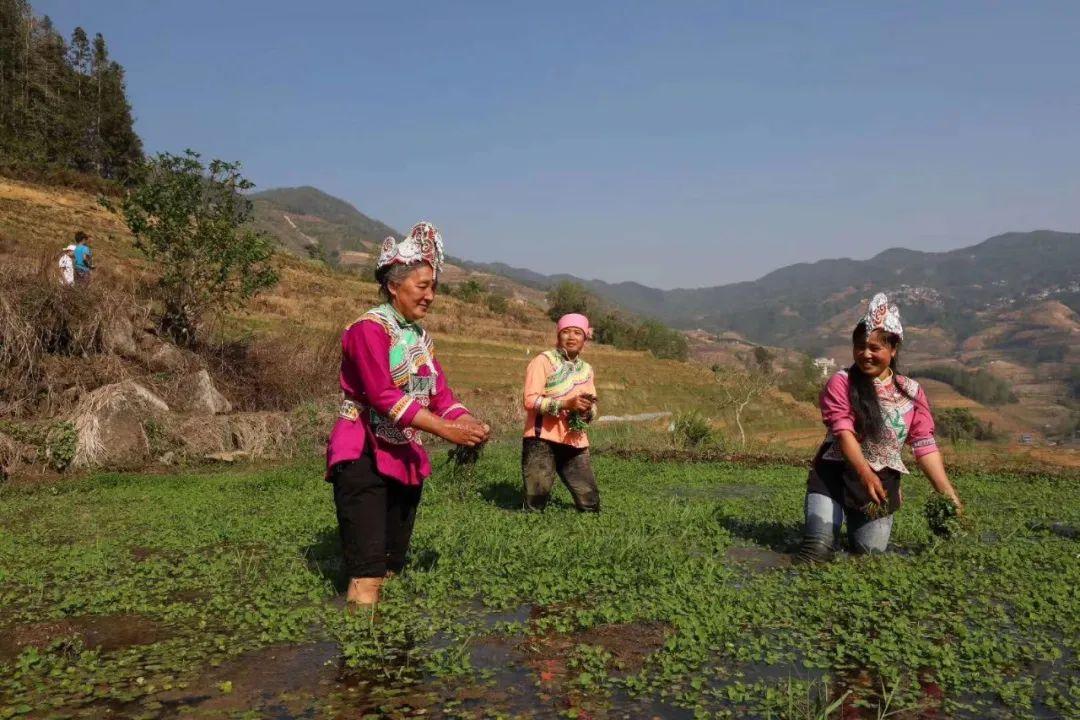 汕頭金平疫情最新動態(tài)更新