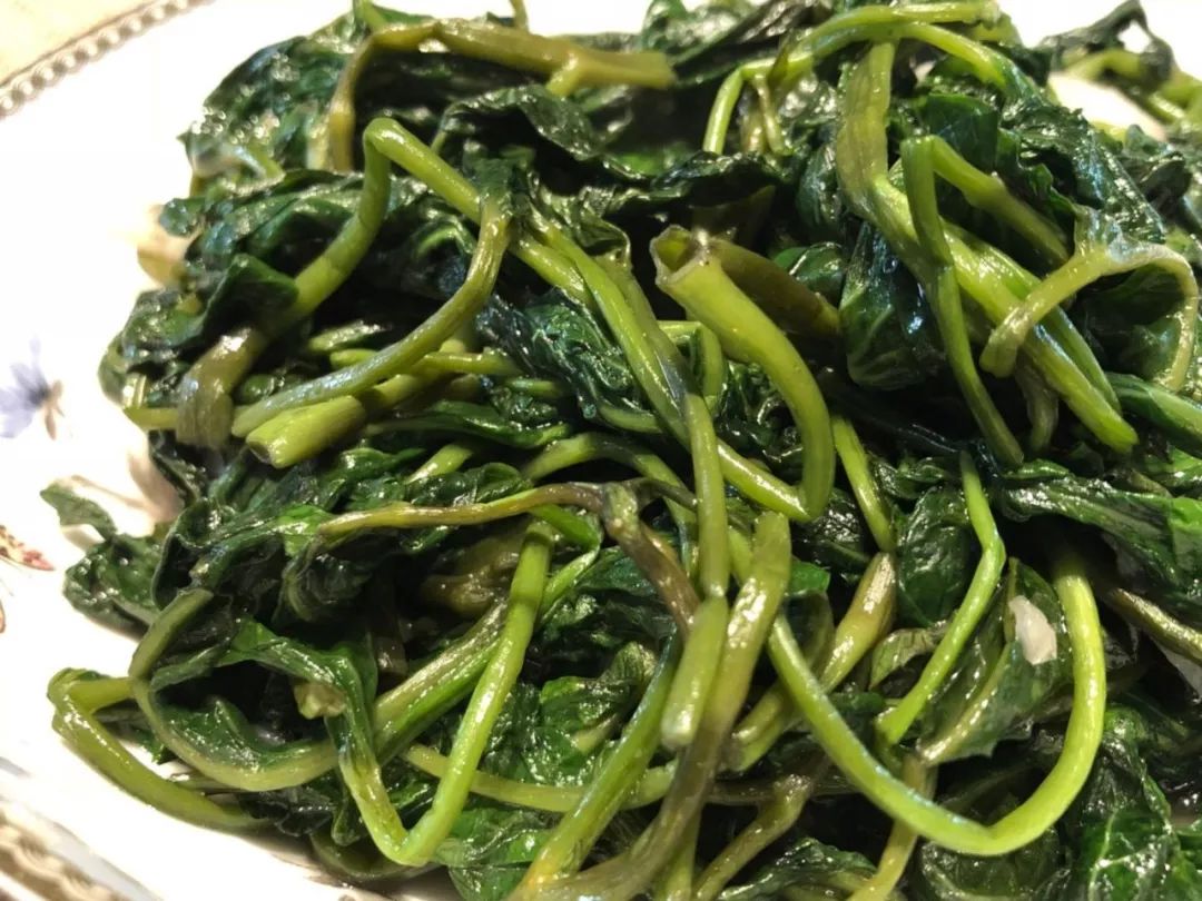 最新野生法及其觀點論述解析