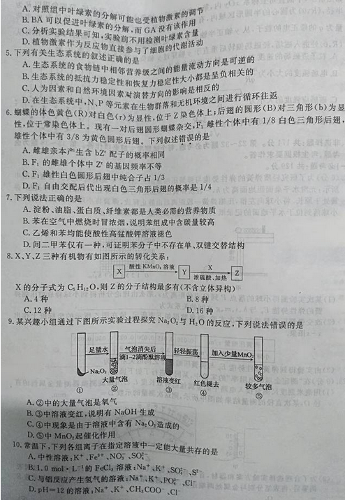 最新概念答案，擁抱變化，自信成就夢(mèng)想之旅