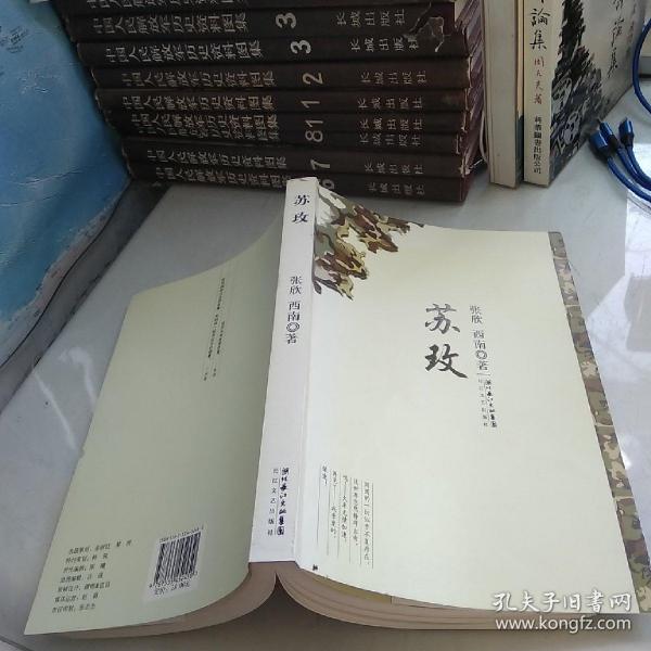 時(shí)代背景下的璀璨篇章，蘇最新章節(jié)速遞