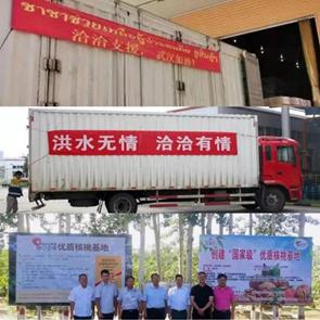 合肥廬江最新汛情及指南速遞