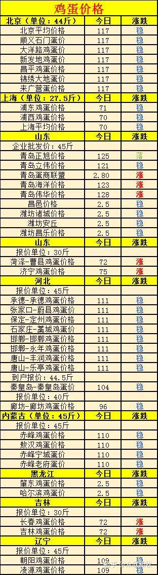 全國(guó)雞蛋最新批發(fā)價(jià)格，友情與陪伴中的溫情故事