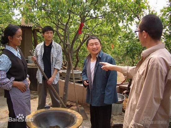 最新農(nóng)村電視劇全集探討與賞析