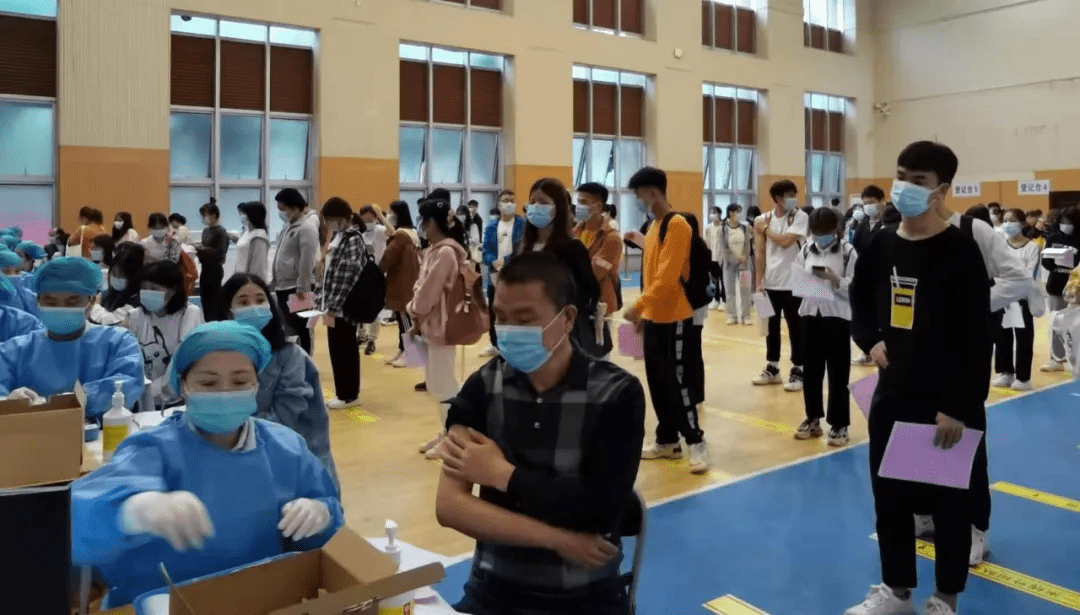 岳陽新喬線啟程探索自然美景治愈之旅的最新動態(tài)