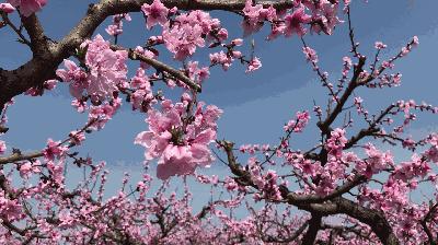 榆中縣新世界最新房?jī)r(jià)，夢(mèng)想躍動(dòng)的起點(diǎn)