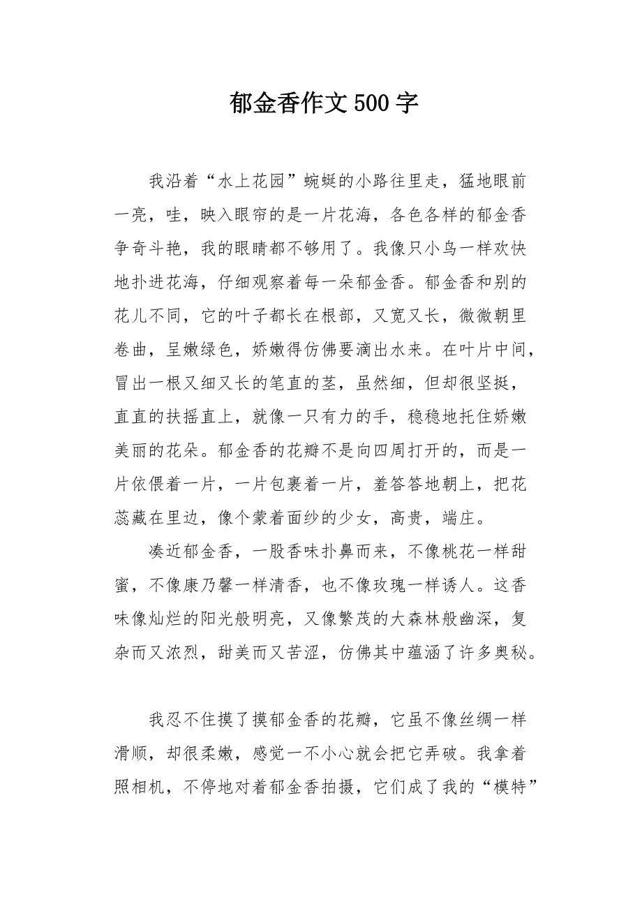 我的郁金香女友最新章節(jié)，情感與成長的交織旅程