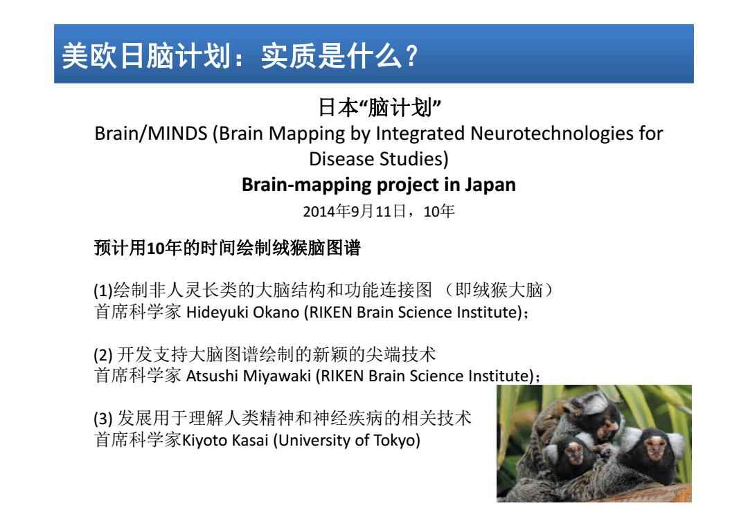 日本腦計劃最新進展揭秘，溫馨日常的新突破
