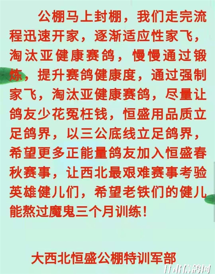 恒翔賽鴿公棚最新公告，展翅翱翔，共舞變化，自信筑夢未來！