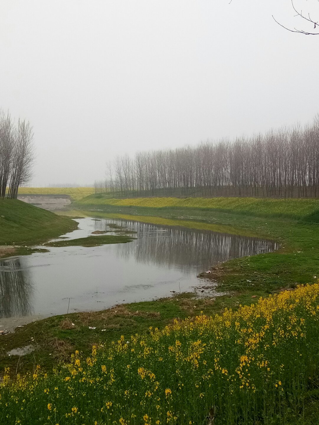 平輿縣天氣預(yù)報(bào)更新，陽(yáng)光與氣象變化帶來(lái)自信與力量