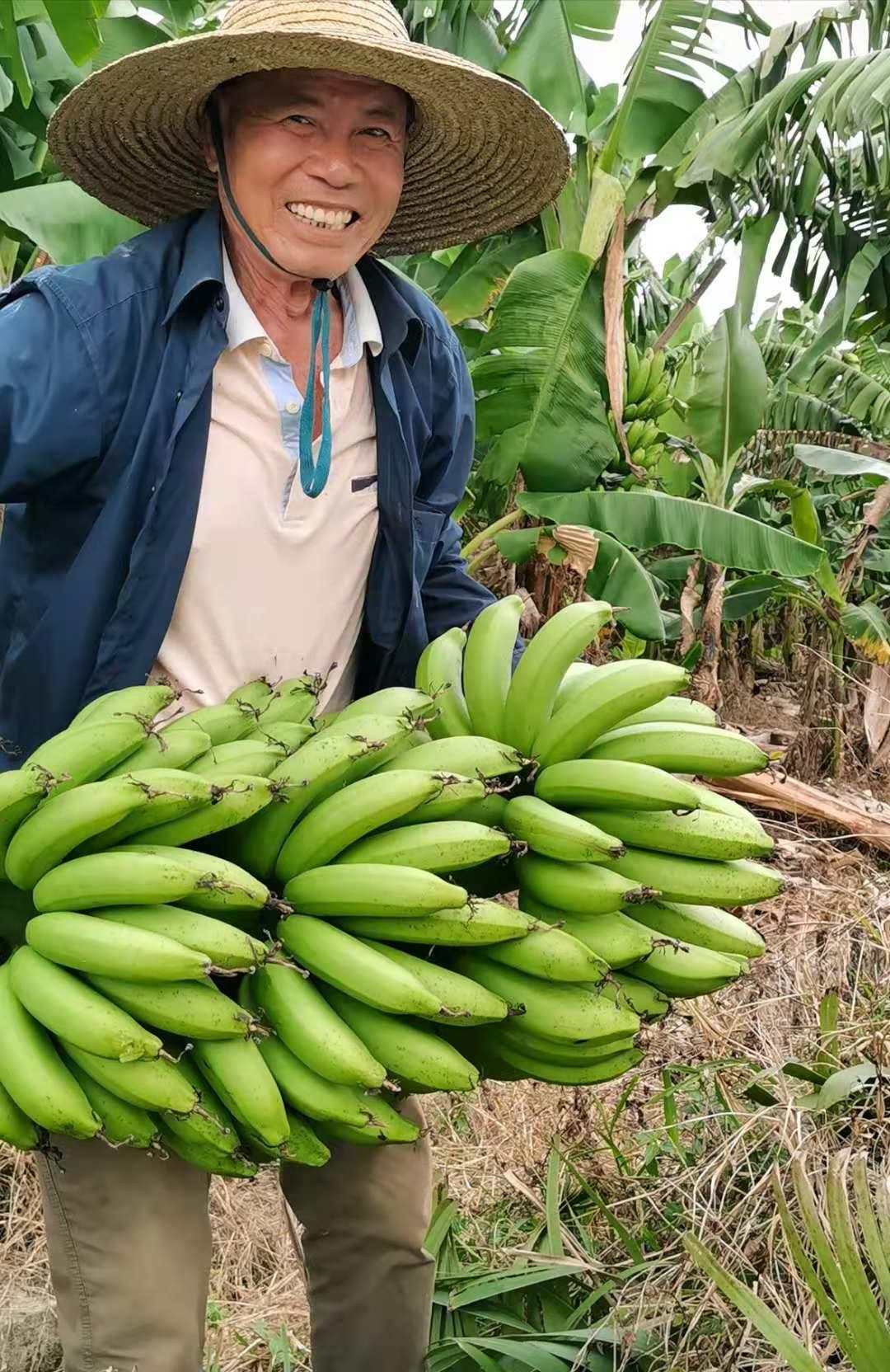 吳川新聞蘭石最新消息全解析，獲取指南助力初學者與進階用戶