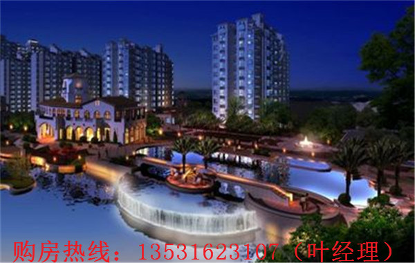 大亞灣羅建強(qiáng)最新消息，深度解析各方觀點(diǎn)與個(gè)人立場(chǎng)闡述