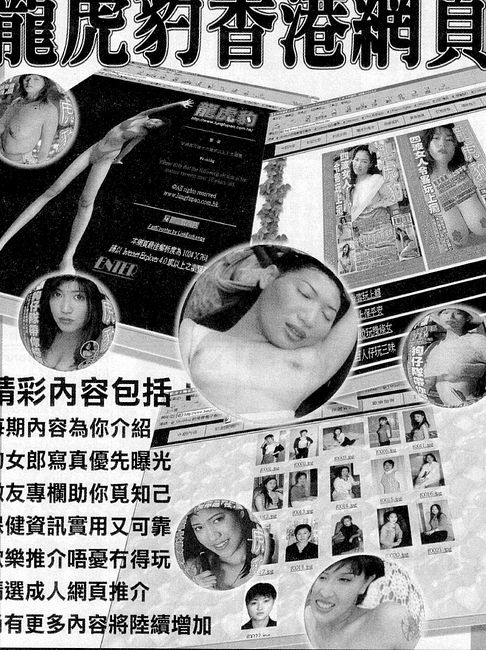 香港龍虎豹最新地址揭秘，探索自然美景，尋覓內(nèi)心寧靜之旅